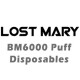 Lost Mary BM6000